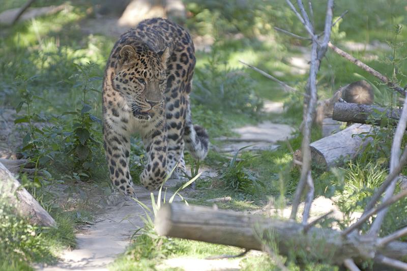 Cjp_2011_08_01_162231 (1).jpg